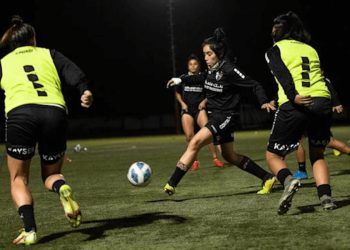 Profesionales por ley, pero a 15 dólares al día en Chile