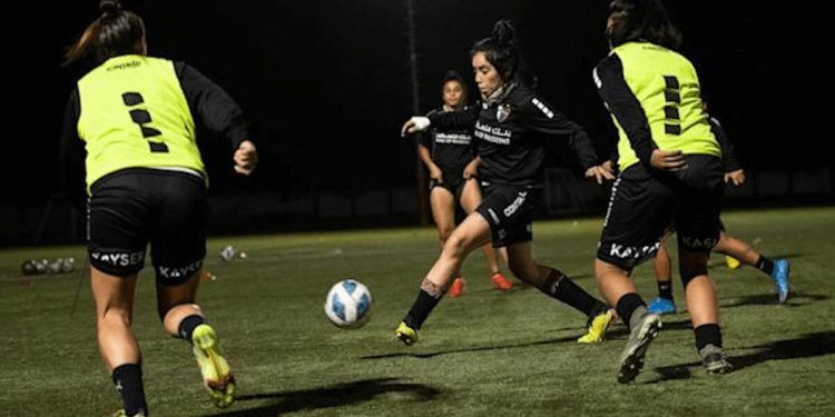 Profesionales por ley, pero a 15 dólares al día en Chile