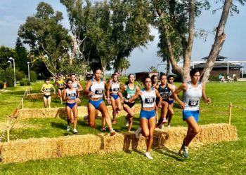 Juventud Atlética Elche y Metaesport, campeones autonómicos por clubes