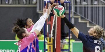 Heidelberg-Volkswagen, Haro, Sant Cugat, Gran Canaria, Menorca y La Laguna ganaron en la jornada 15