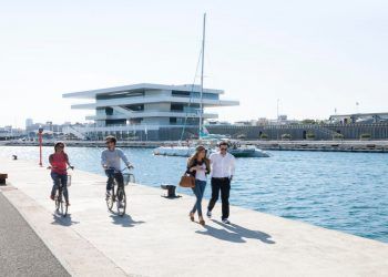 Grant Dalton descarta a Valencia como sede de la próxima Copa América