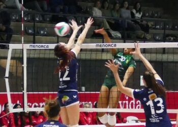 Sayre, Emevé, La Laguna, Haro, Unicaja y Heidelberg-Volkswagen ganaron en la jornada 19