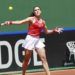 Nuria Párrizas sella el pase de España a las finales de la Billie Jean King Cup en Marbella