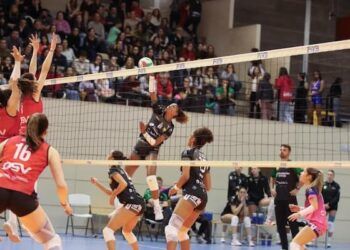 Madrid Chamberí, La Laguna, Menorca, Gran Canaria, Unicaja y Haro firmaron el triunfo