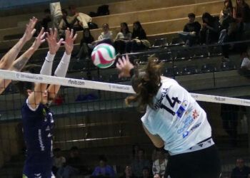 Sayre, La Laguna, Heidelberg-Volkswagen, Gran Canaria, Sant Cugat y Socuéllamos se apuntaron el triunfo en la novena jornada de Superliga