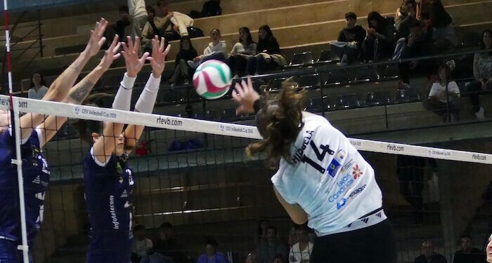 Sayre, La Laguna, Heidelberg-Volkswagen, Gran Canaria, Sant Cugat y Socuéllamos se apuntaron el triunfo en la novena jornada de Superliga